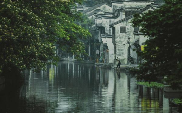 动物帮帮忙保卫家园